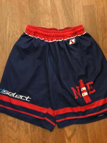 3D New England Adult Men's Large Easton Shorts