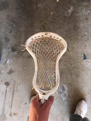 FOGO CEO 2 Head