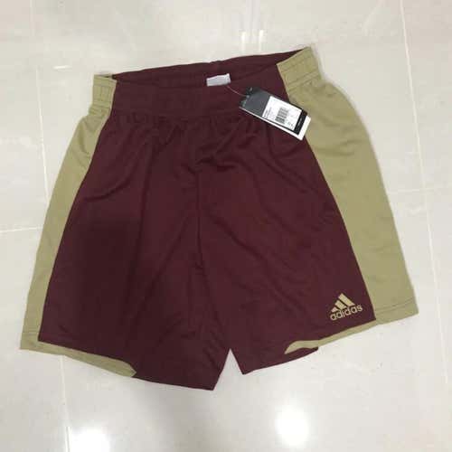 Pant/Short combo