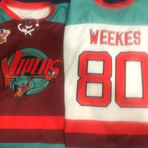 1 JERSEY ONLY, Vintage IHL Detroit Vipers Kevin Weekes Goalie Jerseys