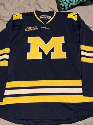 New Michigan CCHA Large Reebok Jersey BLUE