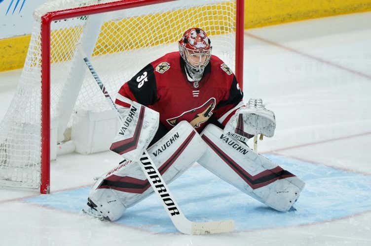 Christmas Deal! Darcy Kuemper 2019 Pro Return Leg Pads