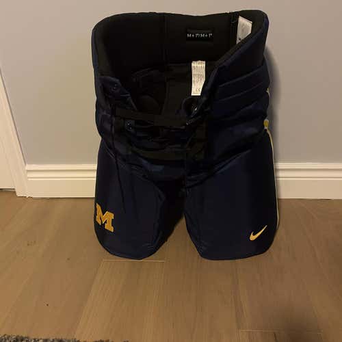 NEW Michigan University Nike Branded Pants