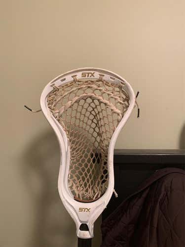 Strung Stallion 700 Head