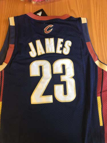 Lebron James cavs jersey