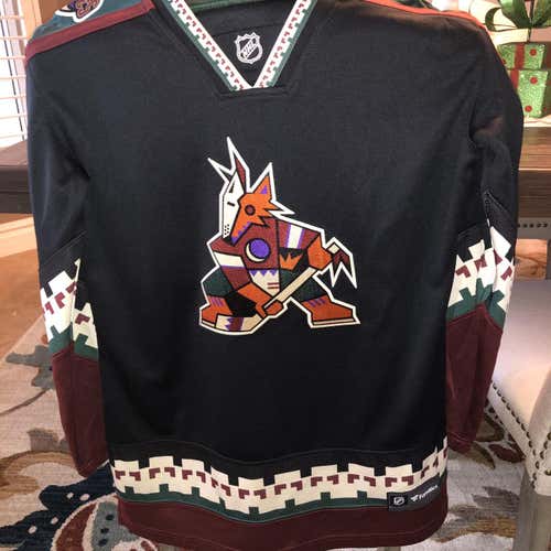 Brand New Coyotes Kachina Jersey (WMNS)