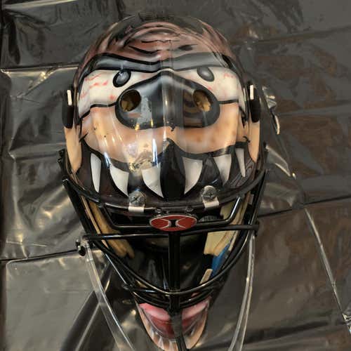 Senior Goalie Mask - Not Sure Of Make. Custom Airbrush Paint.