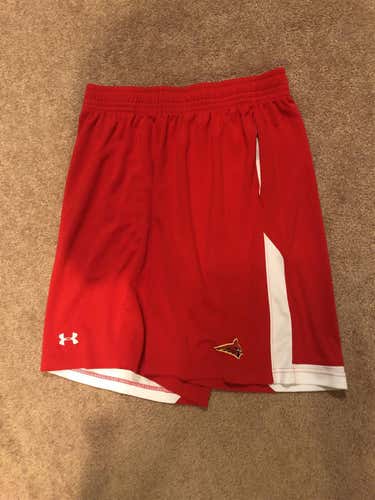Adult Large Under Armour Shorts