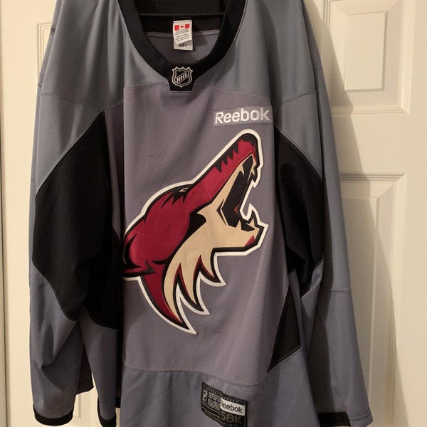 Arizona Coyotes Goalie Cut Reebok Pro Stock Jersey