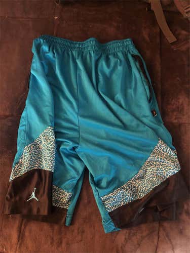 Blue Men's Medium Jordan Shorts
