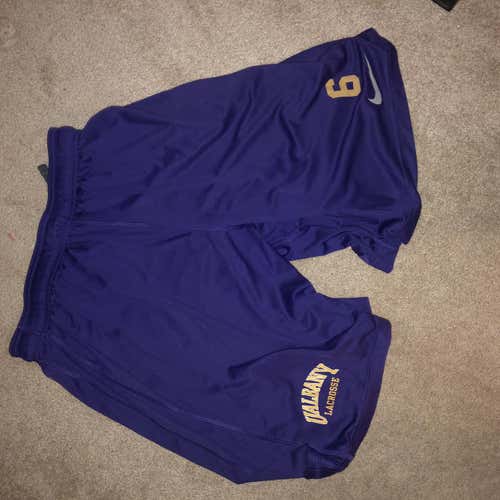 Purple  Extra Large Nike Shorts
