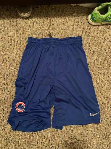 Chicago Cubs Nike Shorts