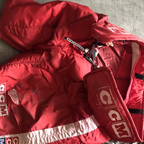 Detroit Redwings Pants