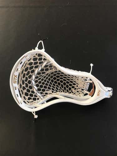 Attack & Midfield Strung Stallion 700 Head