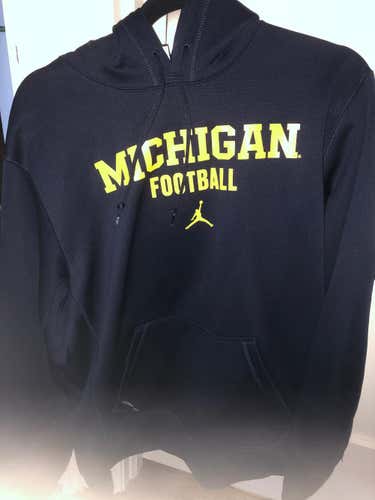 Jordan Michigan Wolverines Hoodie