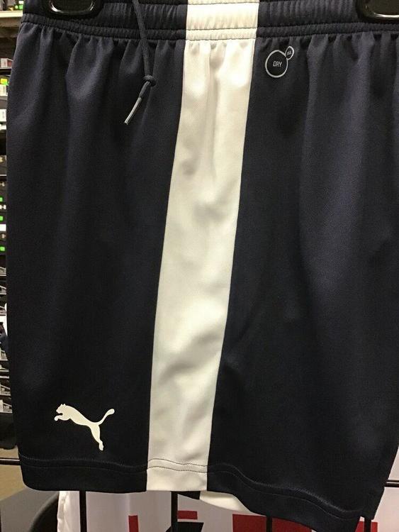 puma pitch shorts