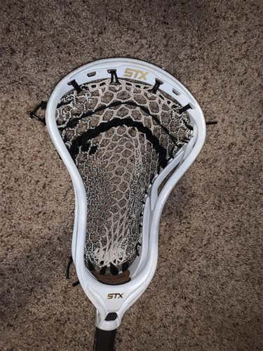 Attack & Midfield Strung Stallion 700 Head