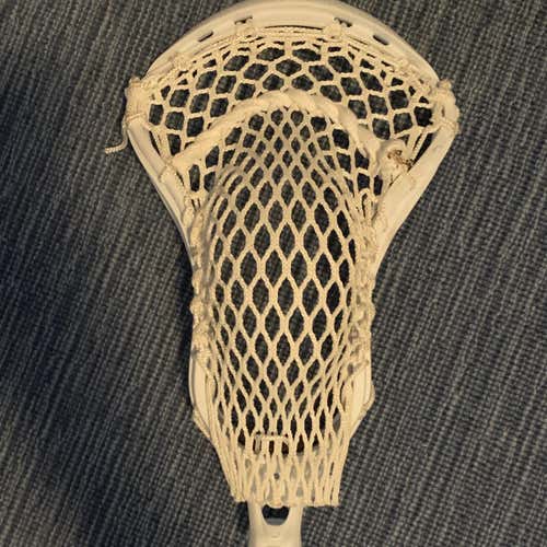 Attack & Midfield Strung Stallion 700 Head