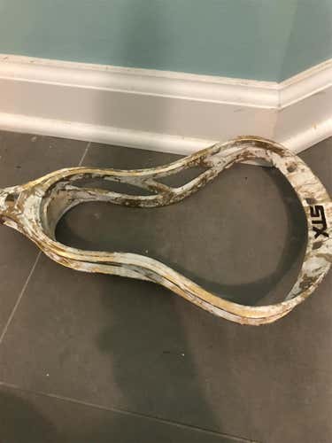 White And Gold Marble Stallion Head