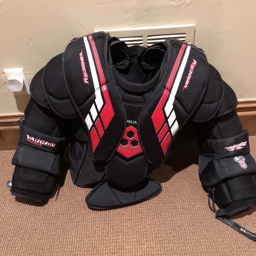 Delia Pro Return Vaughn VE8 Chest Protector And Glove