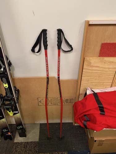 48in (120cm) Racing GS Ski Poles