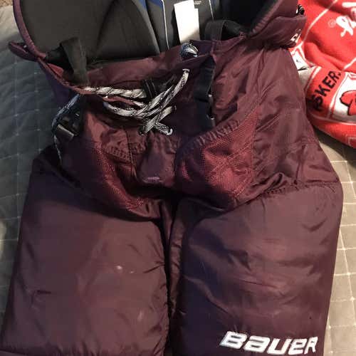 Senior Large Bauer Nexus 8000 Hockey Pants