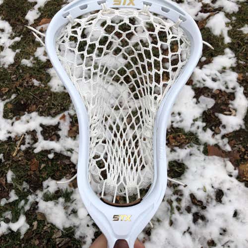 New Attack & Midfield Strung Stallion 700 Head
