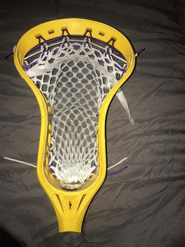 Team Iroquois Issued Strung Thompson I6 Head
