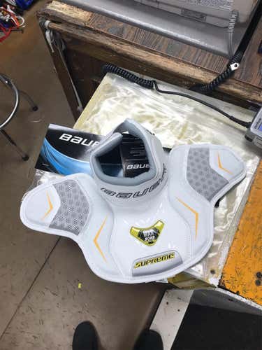 New Bauer Neck Guard + Post Protectors