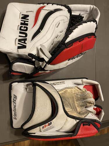 Senior Vaughn Regular