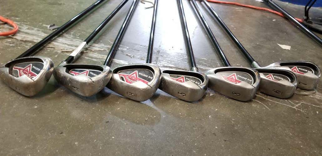 Used Callaway Big Bertha 2006 4i-pw Graphite Regular Golf Iron Or Hybrid Sets