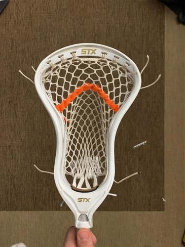 Attack & Midfield Strung Stallion 700 Head
