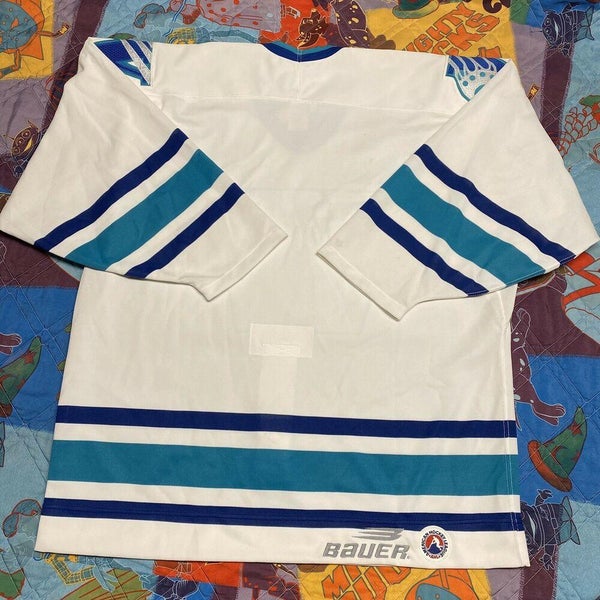 Worcester Ice Cats Blue Hockey Jersey — BORIZ