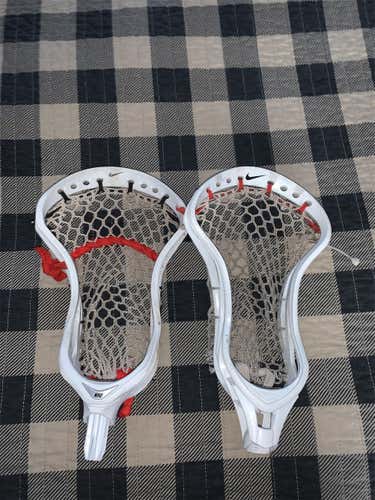 FOGO CEO 2 and CEO Head