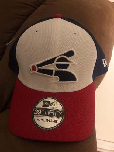 Chicago White Sox New Era Alt Logo Flexfit M/L