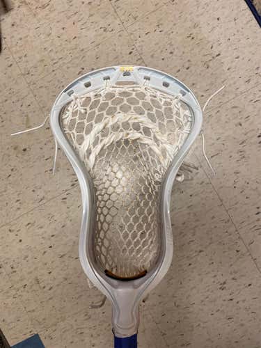 New Attack & Midfield Strung Stallion Head