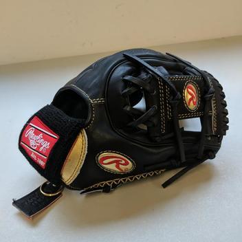 New Rawlings Gold Glove Glove RGG314-2B