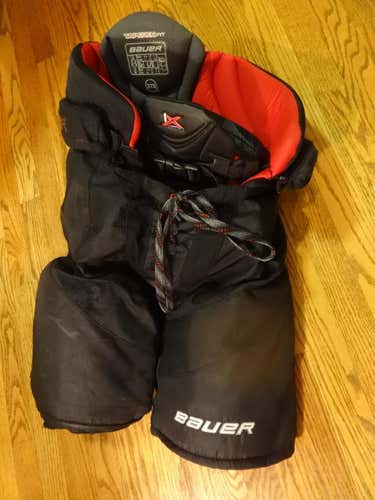 Bauer Vapor 1X Hockey Pants Senior Large