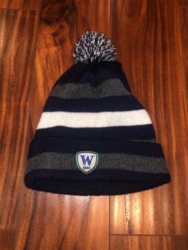 Williston Blue Winter Hat