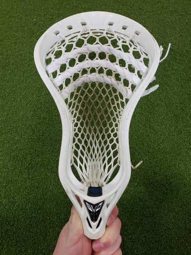 Warrior Evo 5 Head