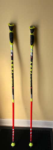 Used 44in (110cm) Racing World Cup Lite GS Ski Poles