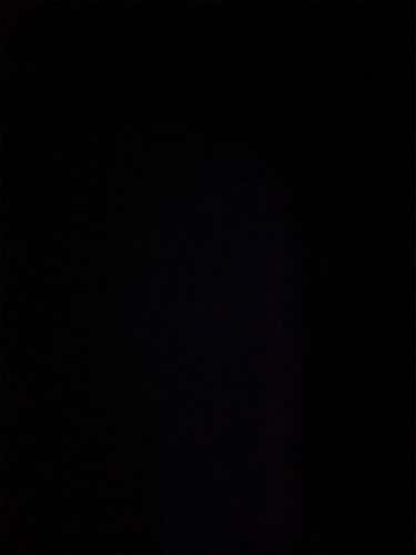 Do Not Buy - Trade For My Man Dillon M