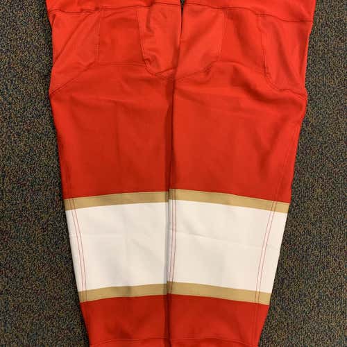 Florida Panthers New Socks (large)