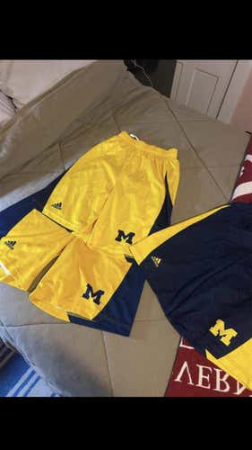 Michigan Lacrosse Game Shorts L (2 left: maize and blue)