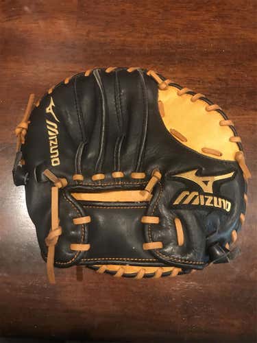 Mizuno Training Mitt