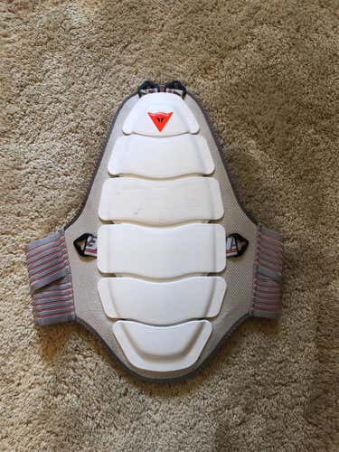Used Medium Dainese Back Plate
