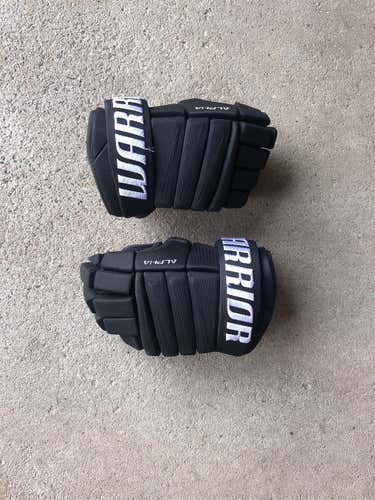 Black New Warrior Alpha QX4 14" Gloves