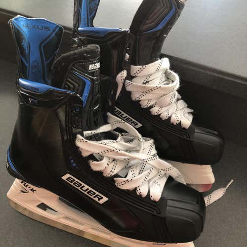 Bauer Nexus 1N Size 10.5 D Hockey Skates