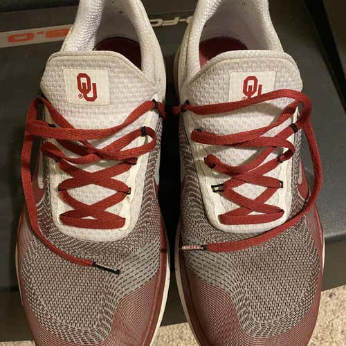 Gray Adult Men's 10.5 (W 11.5) Nike Shoes