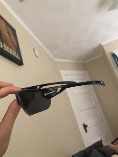 Unisex  Easton Sunglasses